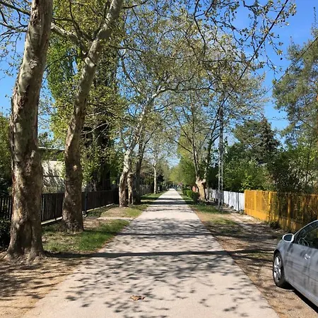 Zamardi Part Ueduelo